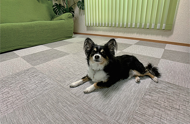 ReFace Tile（リフェイスタイル）