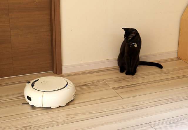 ペットがいる家庭にロボット掃除機がおすすめな理由