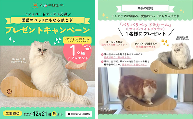 つぐみちゃん・ココちゃん・とろちゃん（部員番号C035）