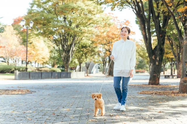 マンションでのペット飼育は環境づくりが重要