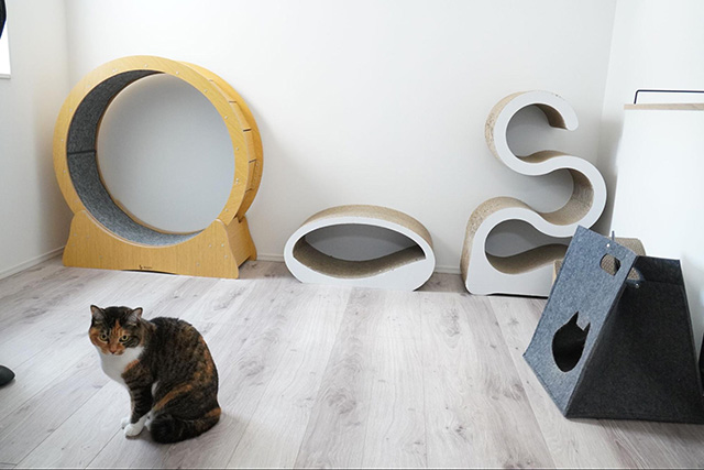 キャットホイールや爪とぎなど猫用家具も充実