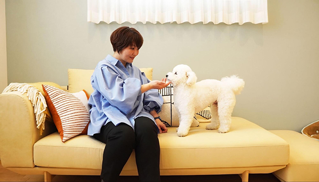 まとめ｜ダイワハウス「セキュレア葵区北安東2丁目III」は、犬と人が自然に心地よく暮らせる住まいだった