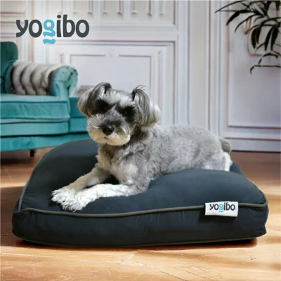 〈3.Yogibo Doggybo〉