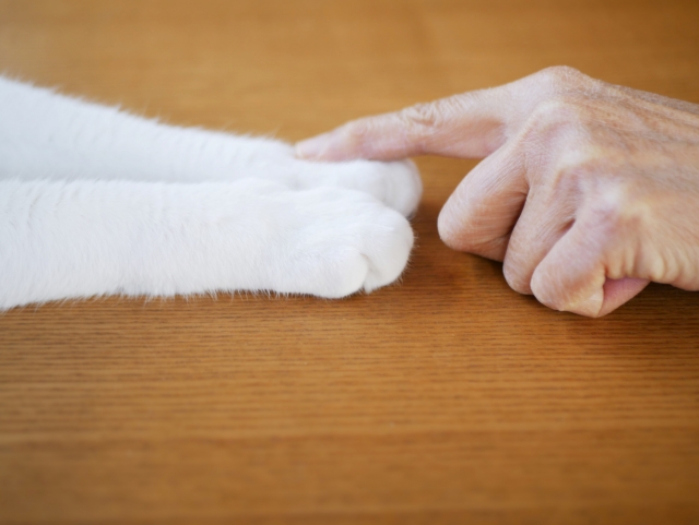 飼い主さんに万が一のことがあったときの備え