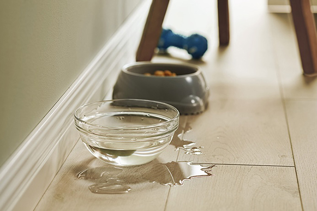 木質系（ラミネートフロア）