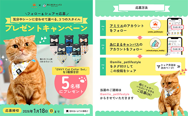 まろんくん（部員番号DC026）