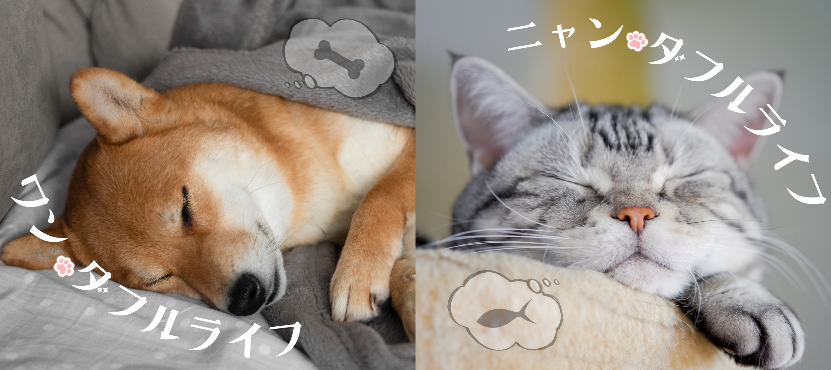 サンプル