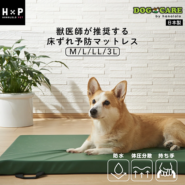 ハナロロ|持ち手付きで寝返り介助や通院時の移動に役立つ体圧分散マット