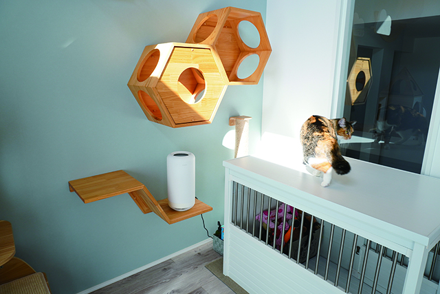 家中に散りばめられたステップやタワー、ケージ