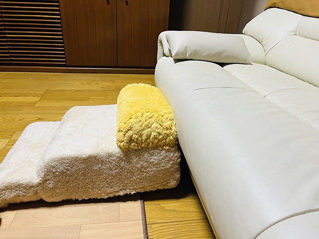 老犬との過ごし方②住環境の工夫で負担を減らす