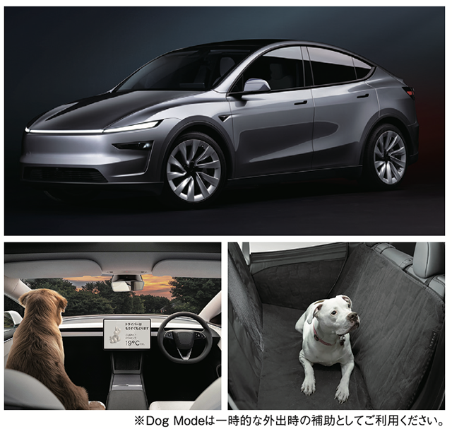 TESLA|New Model Y