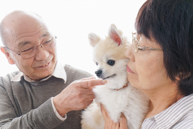 ペット後見に不可欠な3つの要素