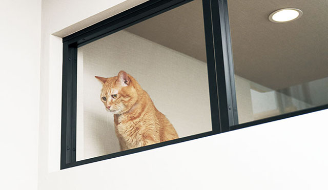 室内窓・しきり窓