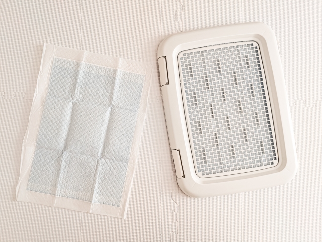 大型犬に最適な室内用トイレトレーおすすめ5選