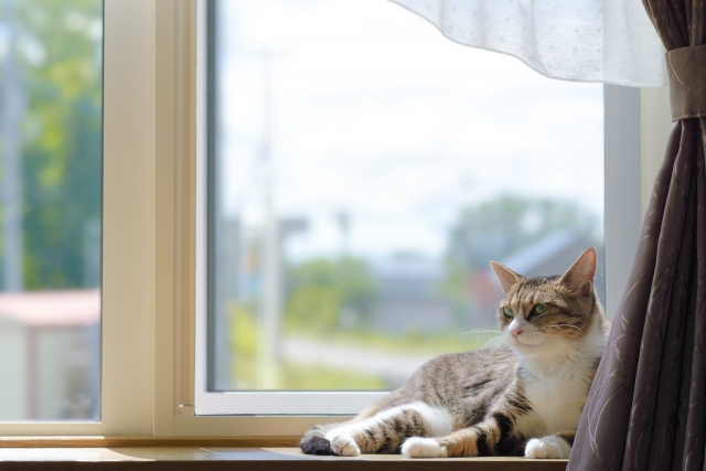 まとめ|窓辺を、愛猫が安心して過ごせる最高の場所に