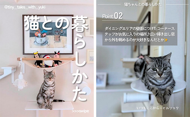 AMILIE公式Instagramでも、「猫との暮らしかた」シリーズに登場してもらいました。
