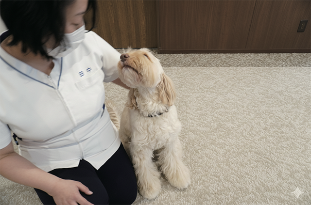 セラピー犬の幸せも守るために