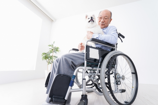 高齢者が犬を飼う3つのデメリット