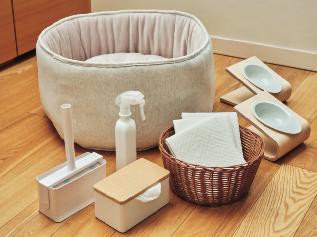 【2026年4月オープン！】OMO7横浜 by 星野リゾート｜都市型でも安心の犬連れホテル