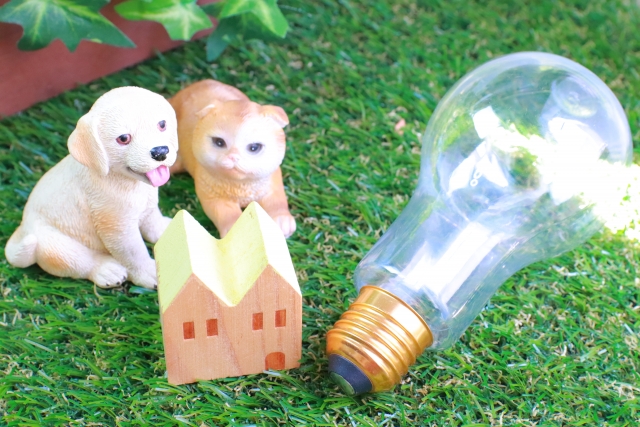 なぜ今、ペット世帯は「生活インフラ」を見直す必要があるのか