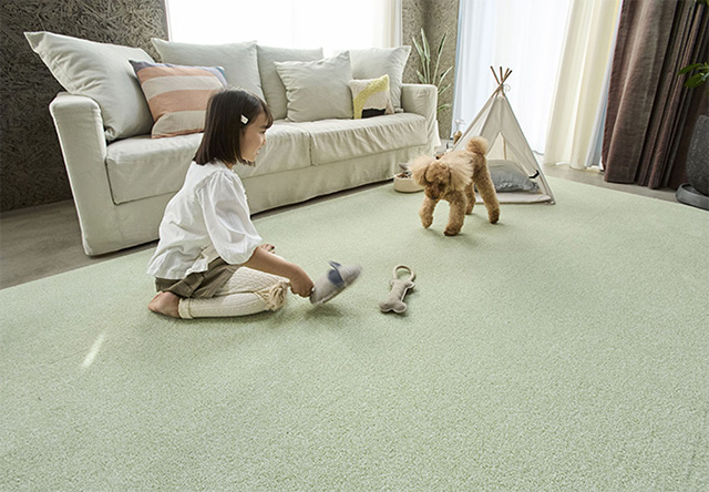 老犬との過ごし方②住環境の工夫で負担を減らす