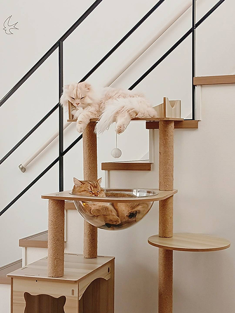 マンションで猫を飼う住環境をつくるポイント
