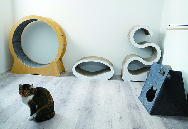 お家の中の素敵なアイテム