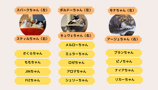 部員紹介｜猫とのくらし部