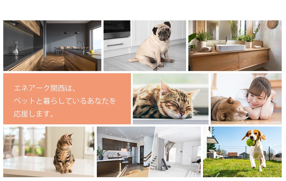 サンプル