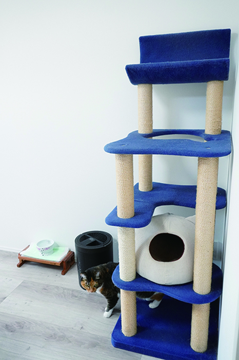 THITHI PETのミネットキャットタワー