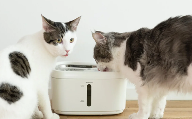 愛猫の健康をサポート!「mirutoモニタリング自動給水器」とは?
