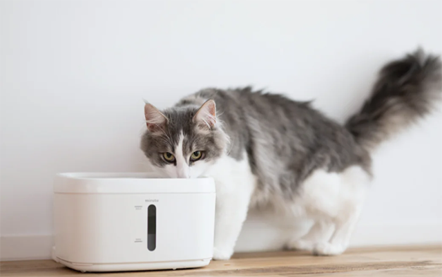 「miruto 自動給水器」の気になった点3つ