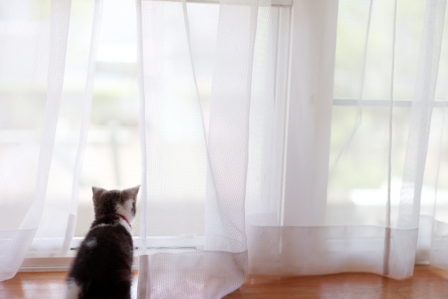 窓からの刺激を遮断する｜カーテンや目隠しなど