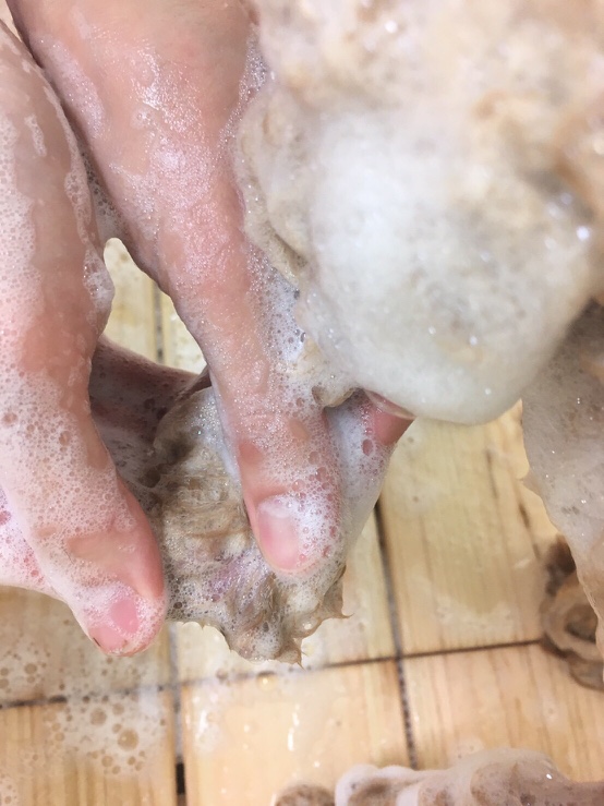 指の間をシャンプーされている犬