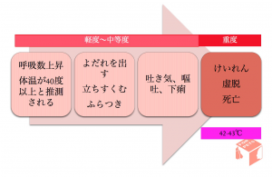 犬の熱中症対策