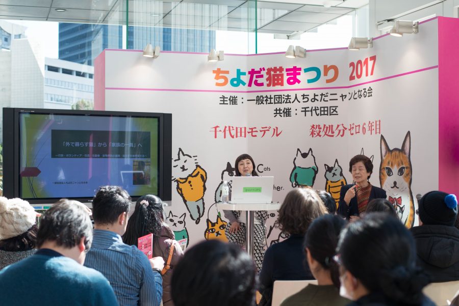 ちよだ猫まつり2017