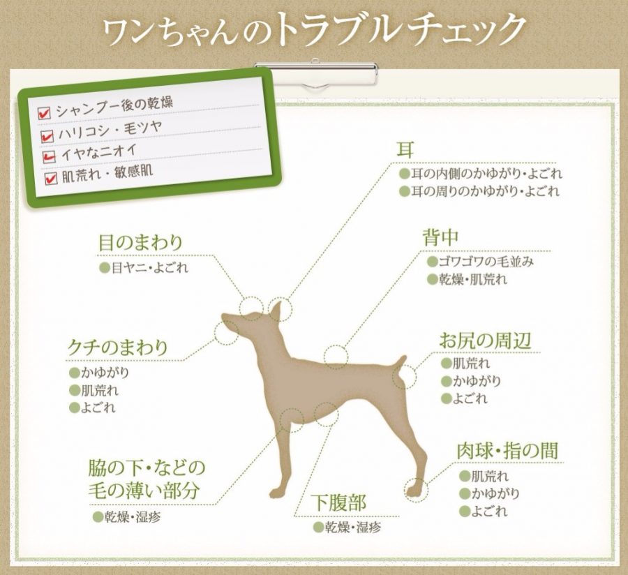 愛犬のトラブルチェック