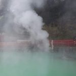 温泉から生まれた犬用化粧水「アヴァンス」開発者インタビュー