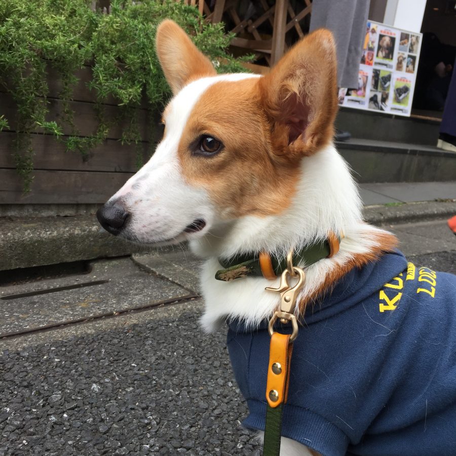 OMUSUBI Live