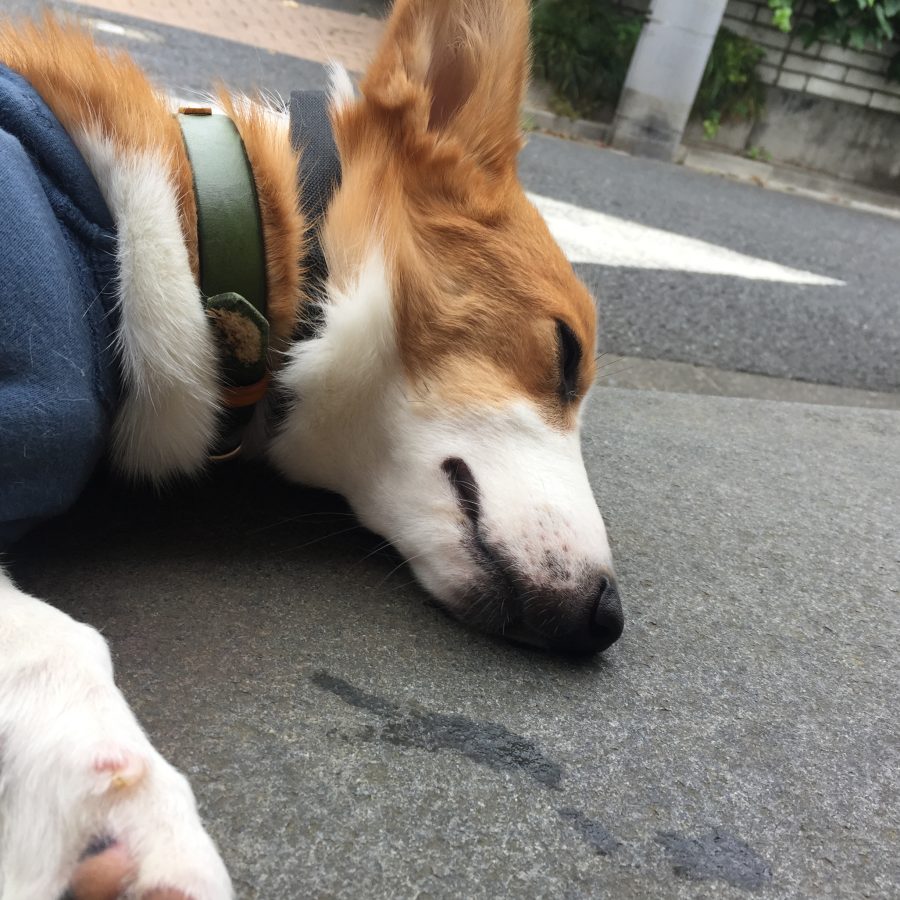 OMUSUBI Live