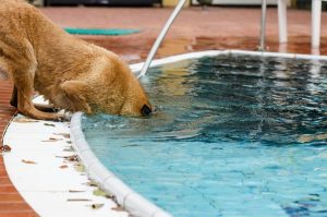 20170518_summer_ni_007