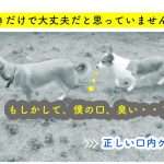 20170512_peroone_ky_307