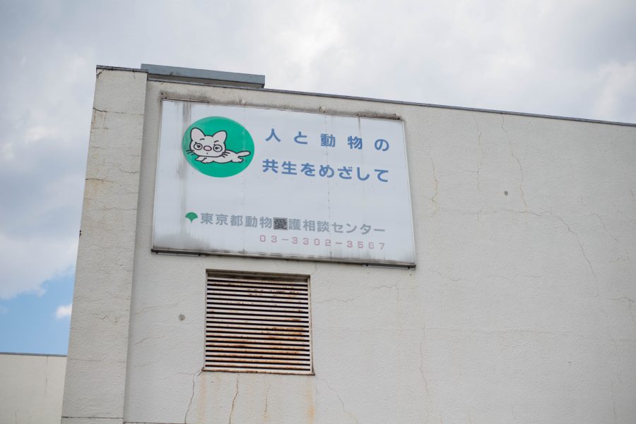 東京都動物愛護相談センター
