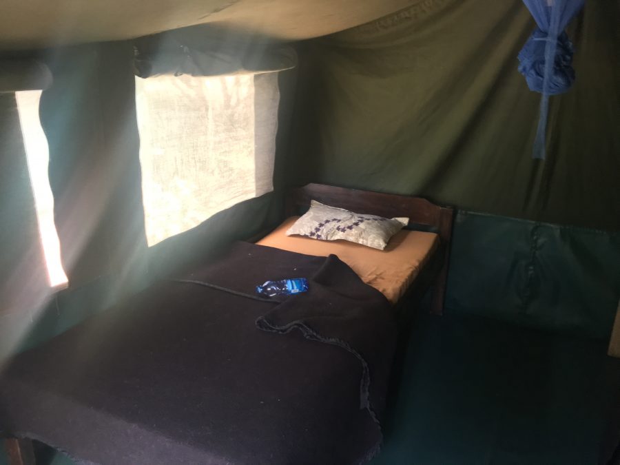 20170620_africa_ni_017
