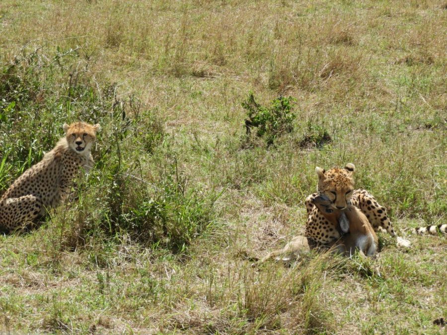 20170620_africa_ni_024