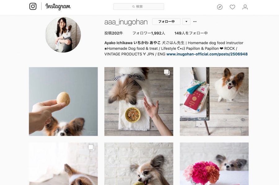 いちかわあやこInstagram @aaa_inugohan