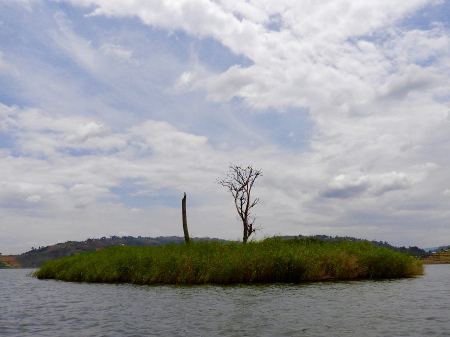 20170623_uganda_ni_006