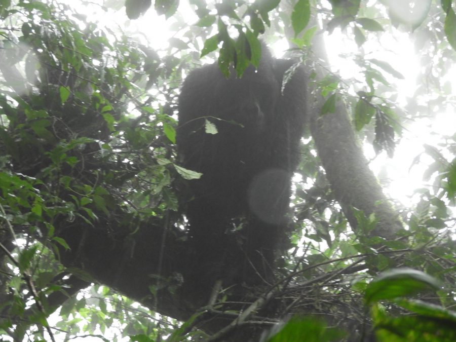 20170623_uganda_ni_009