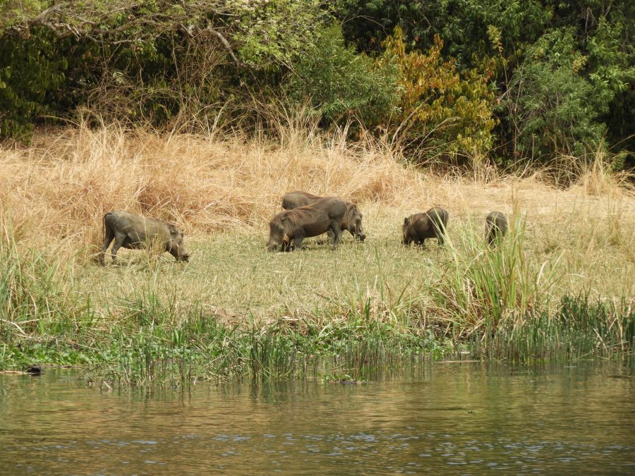 10170626_ugandaafrica_ni_002
