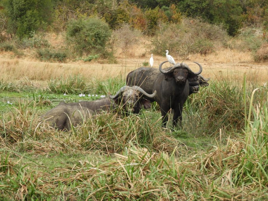 10170626_ugandaafrica_ni_005